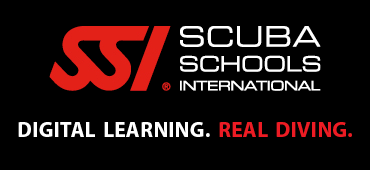 Logotipo de SSI