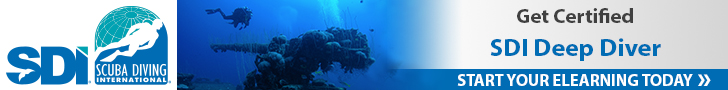 Tarjeta de Deep_Diver SDI
