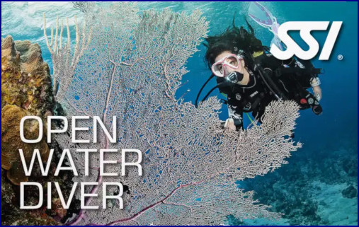 Imagen de la Tarjeta de buceador Open Water Diver SSI