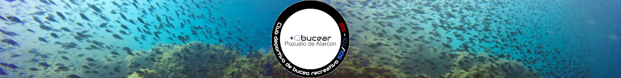 Logotipo +Qbucear